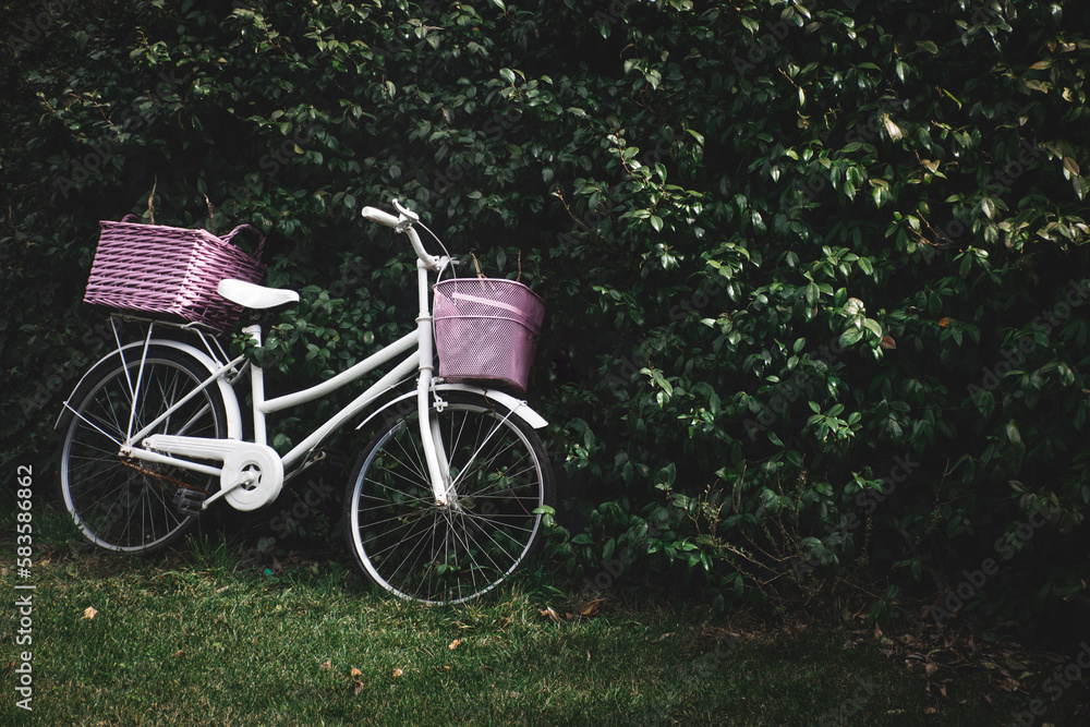 bici blanca retro con cestos en un jardín