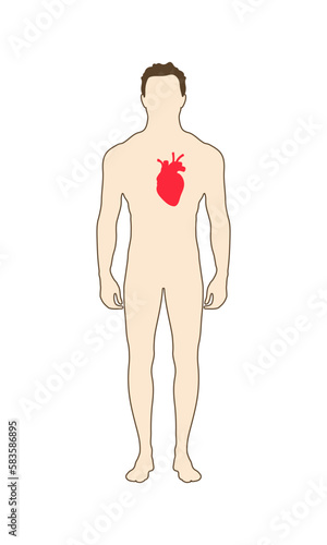 The human body is a silhouette with a red heart. Silhouettes. The location of the heart in the human body. 