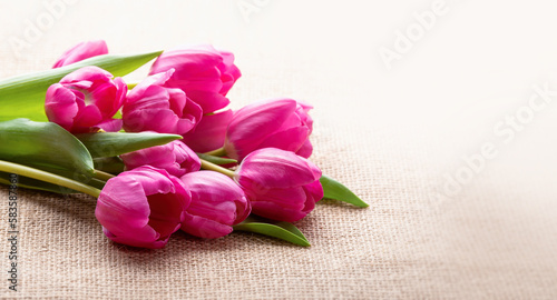 Fototapeta Naklejka Na Ścianę i Meble -  pink tulips lie on canvas