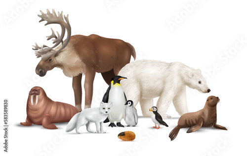 Realistic Arctic Animals