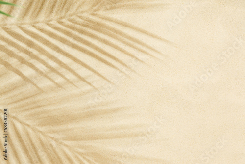 Beach sand with shadow of palm leaves background