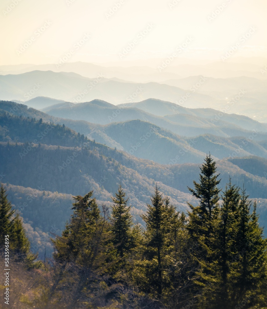 Aerial view of blue Ridge mountain landscape surrounded by dense trees