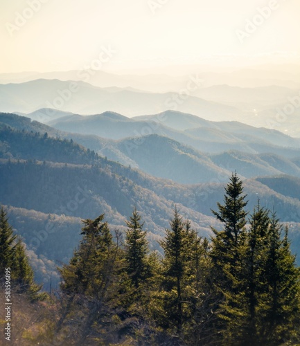 Aerial view of blue Ridge mountain landscape surrounded by dense trees