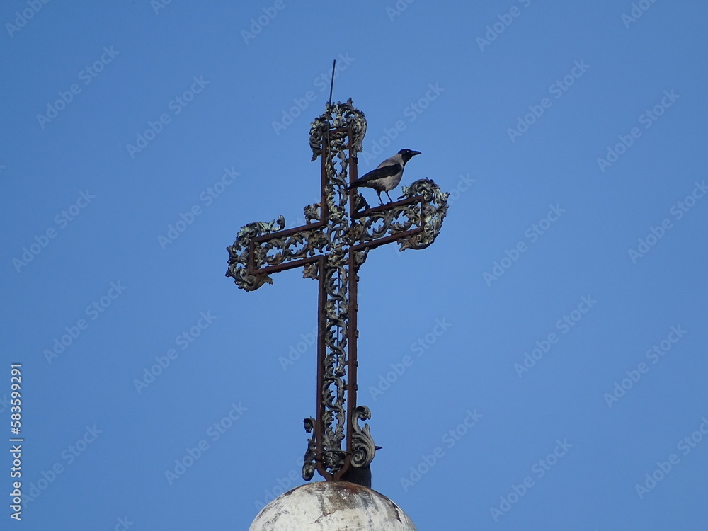Crow on a Cross in Rome