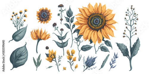 Realistic Botanicals. Detailed Illustrations of Sunflower Stems and Leaves