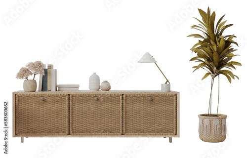 Rattan wood cabinet in boho style with plant