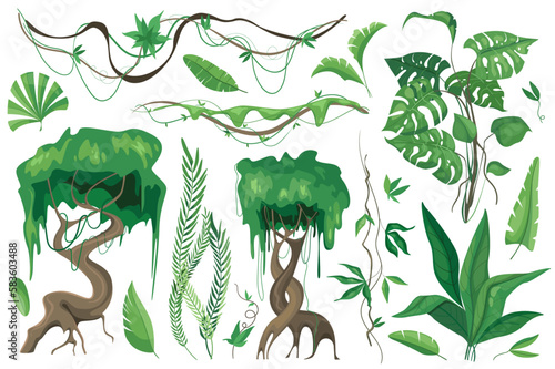 Tropical plants and lianes set graphic elements in flat design. Bundle of different type exotic trees and leaves, wild flora and other green jungle foliage. Vector illustration isolated objects
