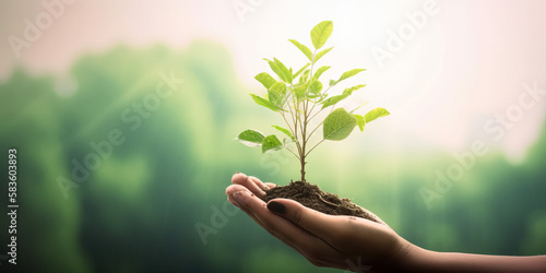 Fototapet ESG concept: human hand holding large growing plant against green forest background