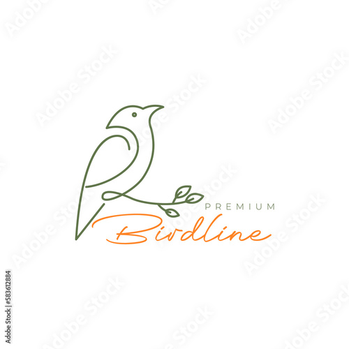 exotic little bird perched twig line art feminine logo design vector