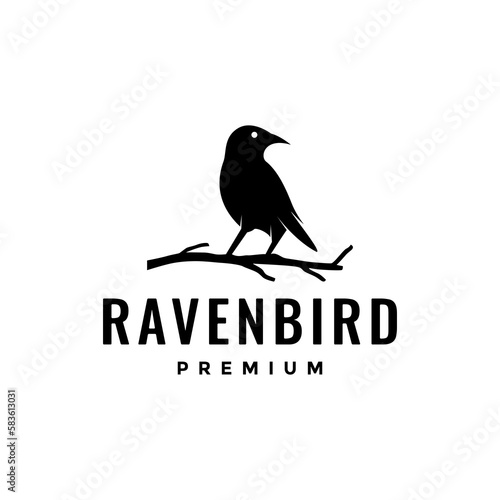 bird black raven focus hunting perched branch sky wildlife isolated logo design vector