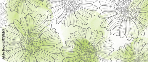 Vector watercolor green background with delicate daisies for decor, covers, wallpaper