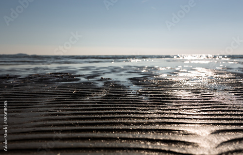 the sea in a sunny day