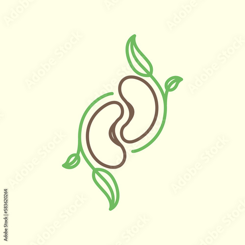 peanut seeds leaves leaf growth plant line art colorful logo design vector