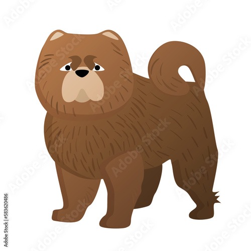 Chow chow dog. Doggie domestic breed, familiar loyal pet, puppy friend vector cartoon illustration