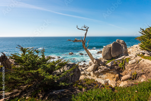 Beautiful California coast with the picturesque rocks in sunny day