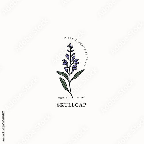 Foto Line art skullcap branch drawing