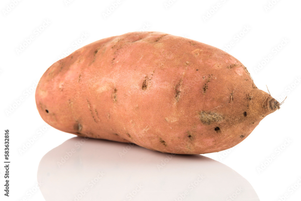 Sweet potato on the white background Sweet potato on the white background