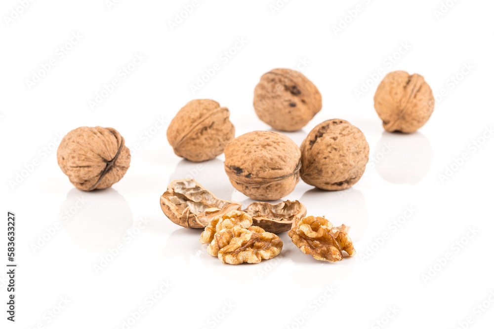 Walnut nut on white Walnut nut on white