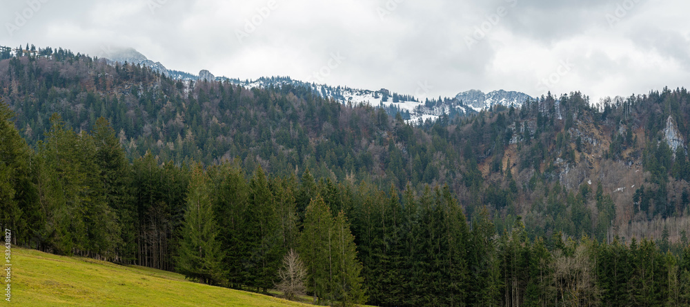 view from the Maisalm to the surrounding alpine landscape