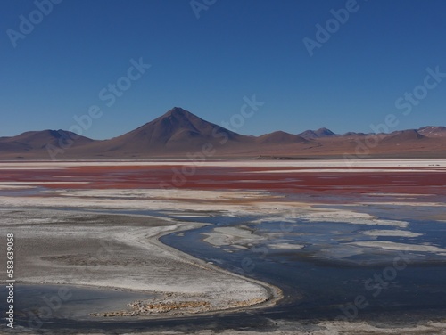 Red lake Gilles with ice and flamingos in Bolivia