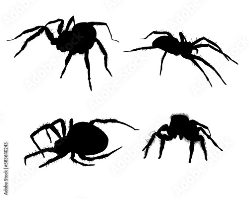 Set of spider silhouette isolated - vector illustration
