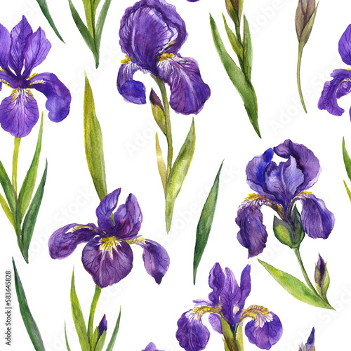 Fototapeta Naklejka Na Ścianę i Meble -  Watercolor irises seamless pattern . Irises flowers, floral pattern, wildflower 