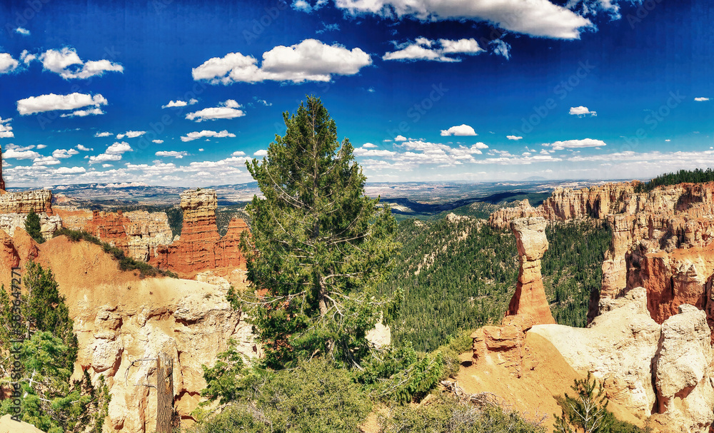Bryce Canyon landscape on a beautiful summer day, Utah - Panoramic view