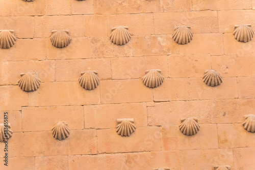 One of the facades of the Casa de las Conchas building in Salamanca (Spain)