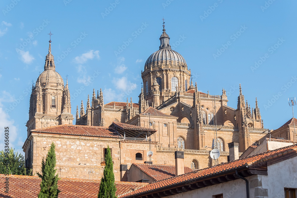 Photo detail of part of the Salamanca catedral in Spain