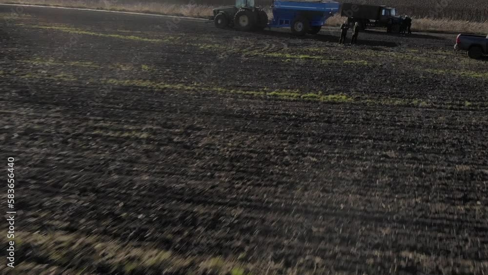 Sunflower harvest with green combine and tractor on ukrainian field during the war with Russia in 2022 Sunflower harvest with green combine and tractor on ukrainian field during the war with Russia in 2022