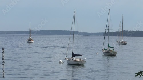 Anchored sailboats gently rocking in bay on summer afternoon