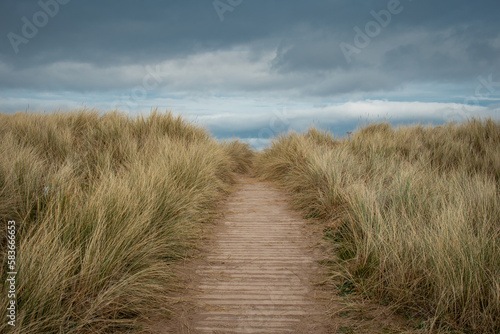 sandy and grassy entrance to the beach at Castlerock, Northern Ireland on a cloudy day. Picturesque entrance to the beach through leafy path