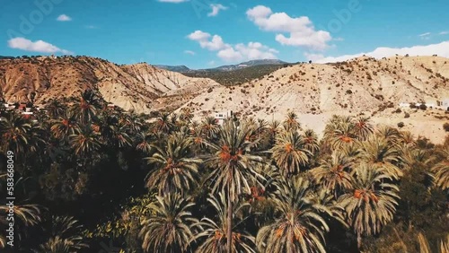 Huge palm grove in Ziz river valley, Morocco. Aerial view