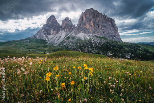 Val Gardena s picturesque alpine is further enhanced by sight of vibrant wildflowers in shades of yellow  surrounded by verdant meadows and framed by towering majestic peaks. Langkofel  Sassolungo.