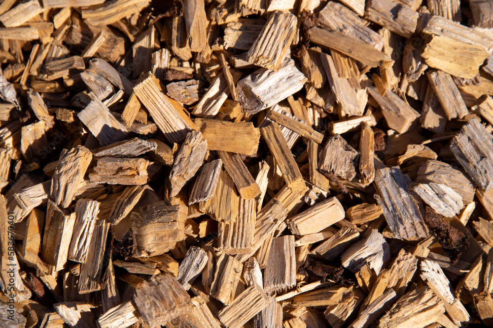 Bunch of wood chip filling whole picture Bunch of wood chip filling whole picture