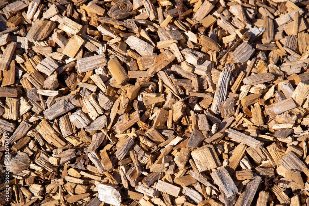 Bunch of wood chip filling whole picture Bunch of wood chip filling whole picture