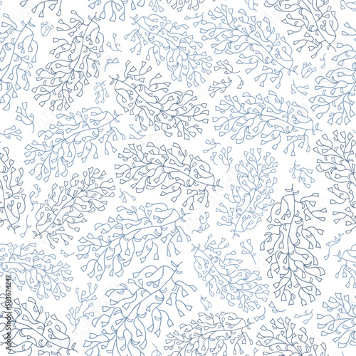 Blue and white elegant seagrass branches pattern. Vintage seamless vector with hand-drawn marine flora, plants, leaves, and seaweed. Modest and beautiful floral illustration in line art style.