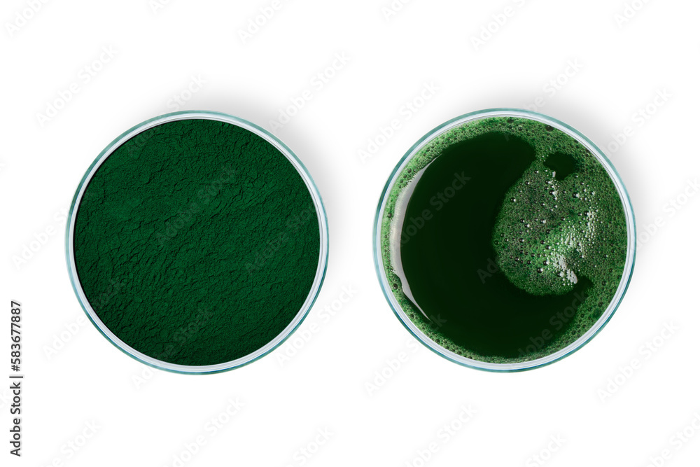 Foto de Spirulina powder. Spirulina diluted in water. Spirulina