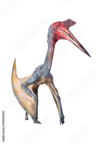 The Pterosaur , dinosaur on  isolated background