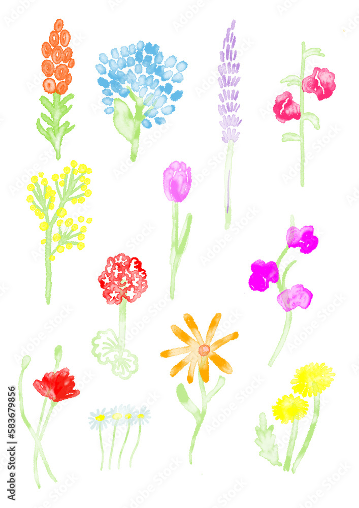 set of flowers, spring watercolor flowers, hand drawn flowers, minimalistic flat watercolor flowers, minimalistic watercolor