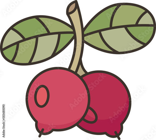 lingonberry  icon
