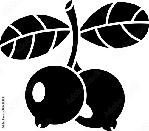 lingonberry  icon