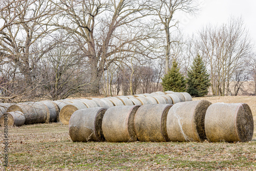 Round bales of hay covered in netting stored in a field in rows with trees in the background.