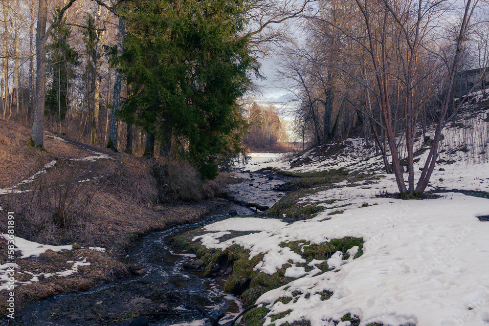 a stream flowing into a large river in Aizkraukle