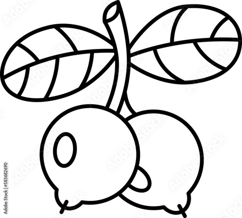 lingonberry  icon