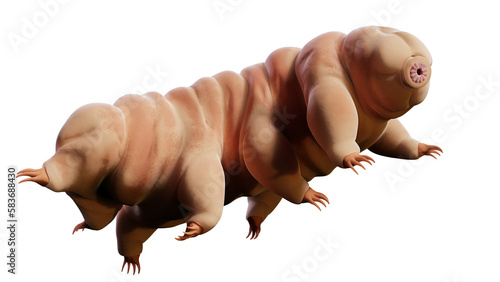 Obraz na płótnie tardigrade, microscopic water bear isolated on transparent background w salonie