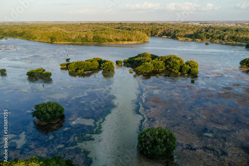 Manglares de Sisal, Yucatán