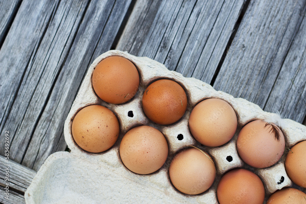 fresh farm eggs in a carton box with top view fresh farm eggs in a carton box with top view