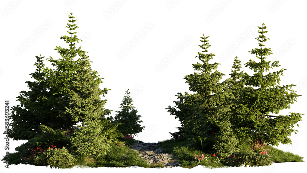 small fir forest, landscape isolated on transparent background