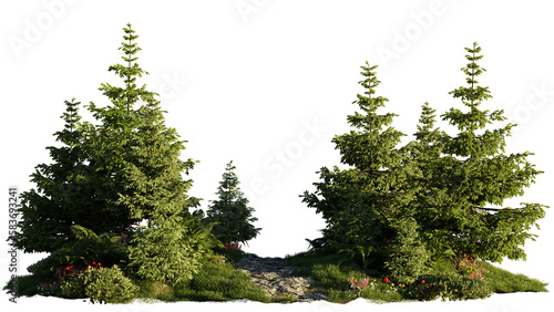 Fotografia small fir forest, landscape isolated on transparent background